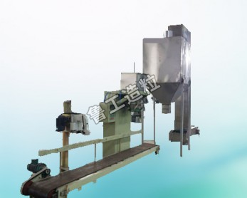 魯工造粒機的配套設(shè)備----提升機